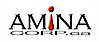 AMINA Consulting Corp. logo, AMINA Consulting Corp. contact details