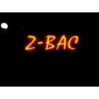 Z-BAC Adventure Institute Pvt Ltd logo, Z-BAC Adventure Institute Pvt Ltd contact details