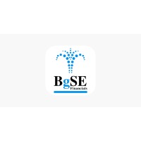 BgSE Financials Limited logo, BgSE Financials Limited contact details