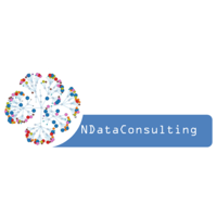 NDATACONSULTING logo, NDATACONSULTING contact details