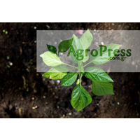 AgroPress logo, AgroPress contact details