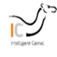 Intelligent Camel logo, Intelligent Camel contact details