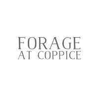 Forage Food Store logo, Forage Food Store contact details