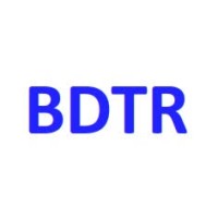 BDTR Pte. Ltd. logo, BDTR Pte. Ltd. contact details