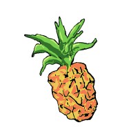 Pineapple Press Inc logo, Pineapple Press Inc contact details