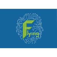 Shenzhen Flying Technology Co., Ltd logo, Shenzhen Flying Technology Co., Ltd contact details