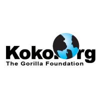 The Gorilla Foundation logo, The Gorilla Foundation contact details