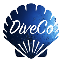 The Dive Company logo, The Dive Company contact details