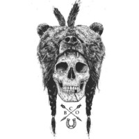 Bear Creek Outfitters logo, Bear Creek Outfitters contact details