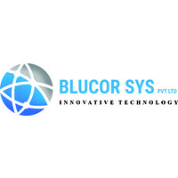 BluCor Systems Pvt. Ltd logo, BluCor Systems Pvt. Ltd contact details