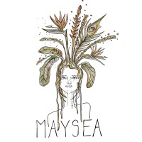 MAYSEA Movement Nicaragua logo, MAYSEA Movement Nicaragua contact details