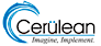 Cerulean Information Technology logo, Cerulean Information Technology contact details