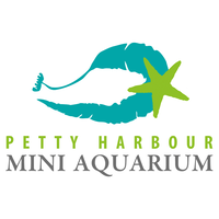 Petty Harbour Mini Aquarium logo, Petty Harbour Mini Aquarium contact details