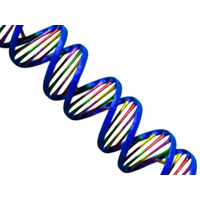 Recombinant DNA Technologies logo, Recombinant DNA Technologies contact details