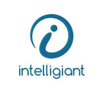 INTELLIGIANT (HK) CO.,LTD logo, INTELLIGIANT (HK) CO.,LTD contact details