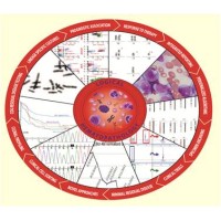 Hematologics Inc logo, Hematologics Inc contact details