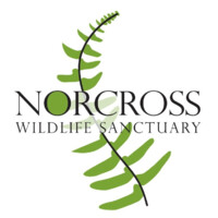 Norcross Wildlife Foundation logo, Norcross Wildlife Foundation contact details