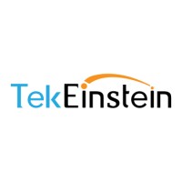 Tekeinstein Software Solutions logo, Tekeinstein Software Solutions contact details