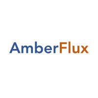 AmberFlux EdgeAI Private Limited logo, AmberFlux EdgeAI Private Limited contact details