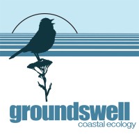 Groundswell Coastal Ecology logo, Groundswell Coastal Ecology contact details