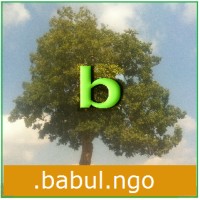 Babul Films Society NGO logo, Babul Films Society NGO contact details