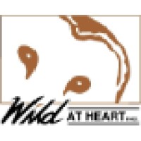 Wild At Heart, Inc. logo, Wild At Heart, Inc. contact details