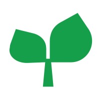 MindsetSeed logo, MindsetSeed contact details