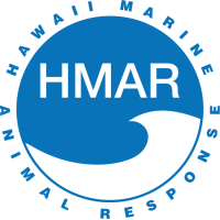 Hawaii Marine Animal Response logo, Hawaii Marine Animal Response contact details