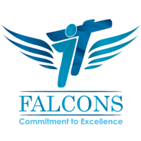 IT Falcons logo, IT Falcons contact details