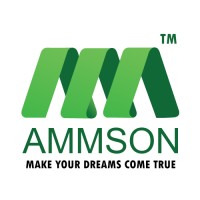 Ammson International Tech Solutions Private Limited logo, Ammson International Tech Solutions Private Limited contact details