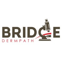 BRIDGE DERMATOPATHOLOGY SERVICES PLLC logo, BRIDGE DERMATOPATHOLOGY SERVICES PLLC contact details