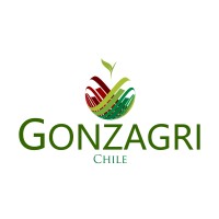 Grupo Gonzagri logo, Grupo Gonzagri contact details