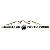 Hemmings Photo Tours logo, Hemmings Photo Tours contact details