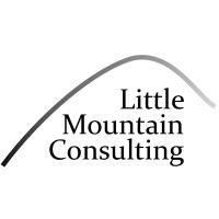 Little Mountain Consulting logo, Little Mountain Consulting contact details