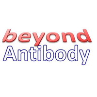 Beyond Antibody logo, Beyond Antibody contact details