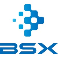 BSX logo, BSX contact details