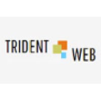 Trident Web Infoservices Pvt. Ltd. logo, Trident Web Infoservices Pvt. Ltd. contact details