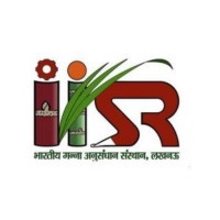 ICAR - Indian Institute of Sugarcane Research - IISR logo, ICAR - Indian Institute of Sugarcane Research - IISR contact details