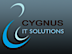 Cygnus IT Solutions Private logo, Cygnus IT Solutions Private contact details