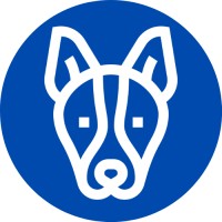 Bluehounds.in logo, Bluehounds.in contact details