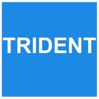 Trident Automobiles - India logo, Trident Automobiles - India contact details