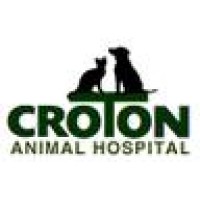 Croton Animal Hospital logo, Croton Animal Hospital contact details