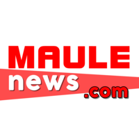 Maule News logo, Maule News contact details