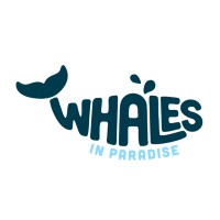 Whales In Paradise logo, Whales In Paradise contact details