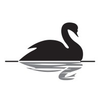 Black Swan Consultancy New Zealand logo, Black Swan Consultancy New Zealand contact details