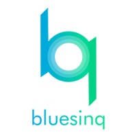 Bluesinq Automations Pvt. Ltd. logo, Bluesinq Automations Pvt. Ltd. contact details