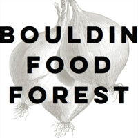 Bouldin Food Forest logo, Bouldin Food Forest contact details