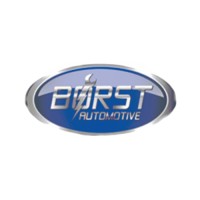 Borst Automotive logo, Borst Automotive contact details