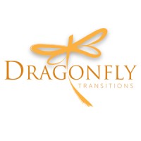 DRAGONFLY TRANSITIONS LTD logo, DRAGONFLY TRANSITIONS LTD contact details