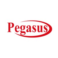 Pegasus  Technologies logo, Pegasus  Technologies contact details